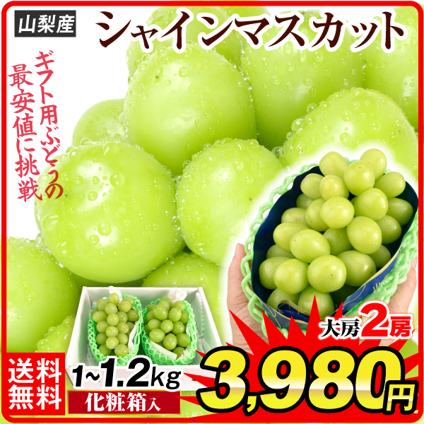 シャインマスカット ぶどう 2房 山梨産 約1～1.2kg 贈答用 ギフト用 たねなし 皮ごと 大粒 葡萄 ブドウ 送料無料 食品