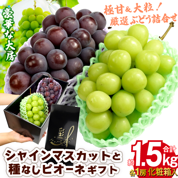 ぶどう 約1.5kg シャインマスカット＆種なしピオーネギフト 贈答用 化粧箱（各 1房）2種詰め合わせ 大粒 送料無料 食品