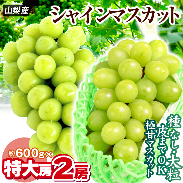 ぶどう 山梨産 大特価 シャインマスカット 2房 (約1.2kg)  大房 種なし 皮ごと美味しい 大粒ぶどう 送料無料 食品