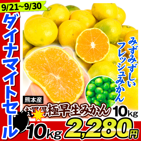 みかん 10kg 極早生みかん ご家庭用 熊本産 極早生 蜜柑 青切 送料無料 食品