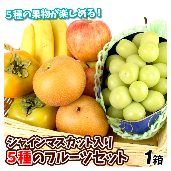 果物セット シャインマスカット入り フルーツ5種セット 送料無料 食品
