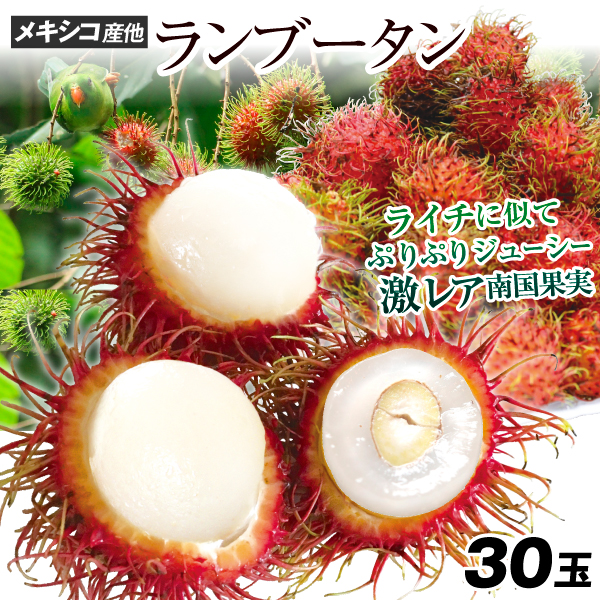ランブータン 30玉 メキシコ産他 ご家庭用 トロピカルフルーツ 生果 紅毛丹 ライチ 冷蔵便 送料無料 食品