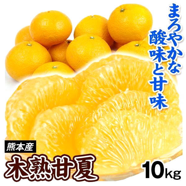 みかん 10kg 木熟甘夏 熊本産 ご家庭用 甘夏 木熟 あまなつ 柑橘 果物 フルーツ 送料無料 食品