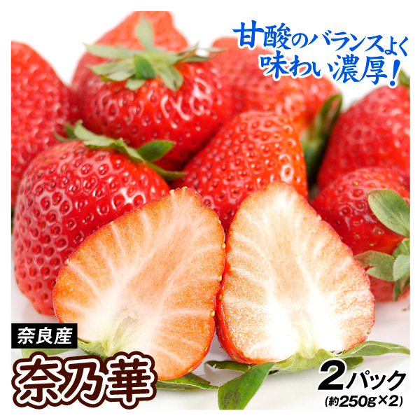 いちご 奈乃華 500g（250g×2パック）奈良産 ご家庭用 送料無料 食品