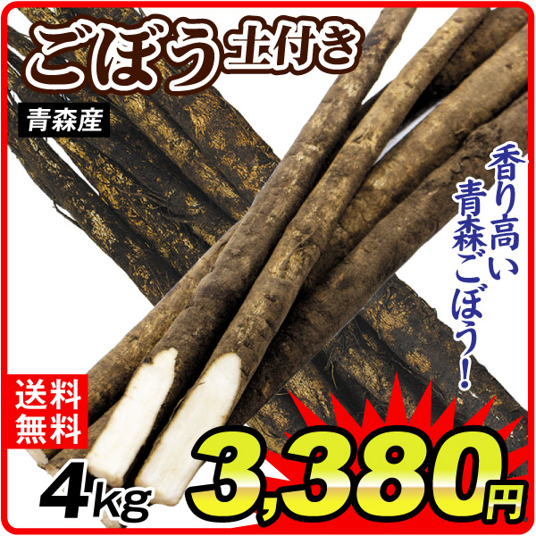 青森産 土付きごぼう 4kg 送料無料 食品