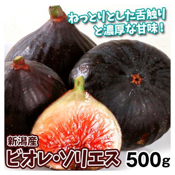 いちじく 約500g ビオレ・ソリエス 新潟産 希少品種 黒いちじく 冷蔵便 送料無料 食品