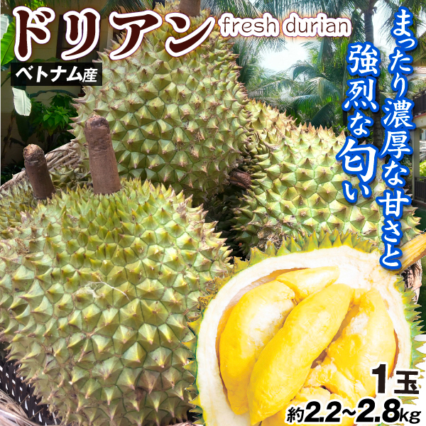 ベトナム産 ドリアン 1玉 送料無料 2.2～2.8kg前後 フレッシュドリアン 榴蓮 猫山王 モントン 生果 果物の王様 送料無料 食品