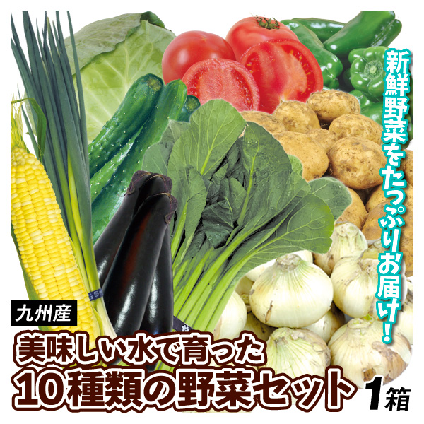 九州産 美味しい水で育った10種類の野菜セット 国産 野菜 送料無料 食品