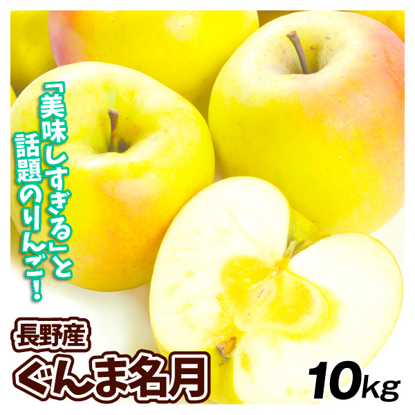 りんご 長野産 ぐんま名月 10kg  ご家庭用 送料無料 食品