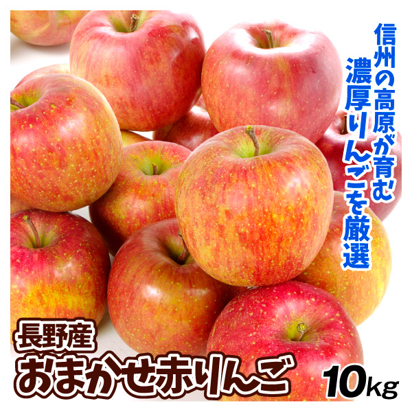 りんご 長野産 おまかせ赤りんご 10kg  ご家庭用 送料無料 食品