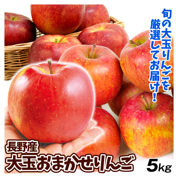 りんご 長野産 大玉 おまかせりんご 5kg  ご家庭用 送料無料 食品