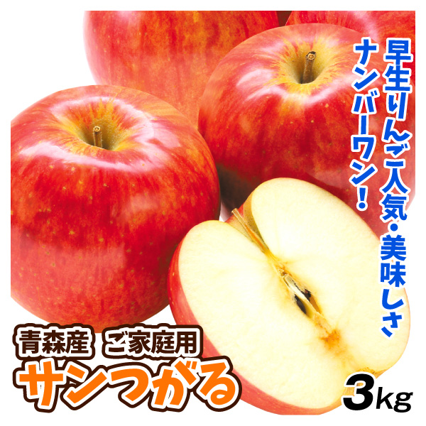 りんご 青森産 ご家庭用 サンつがる 3kg 津軽 送料無料 林檎 フルーツ 食品 国華園