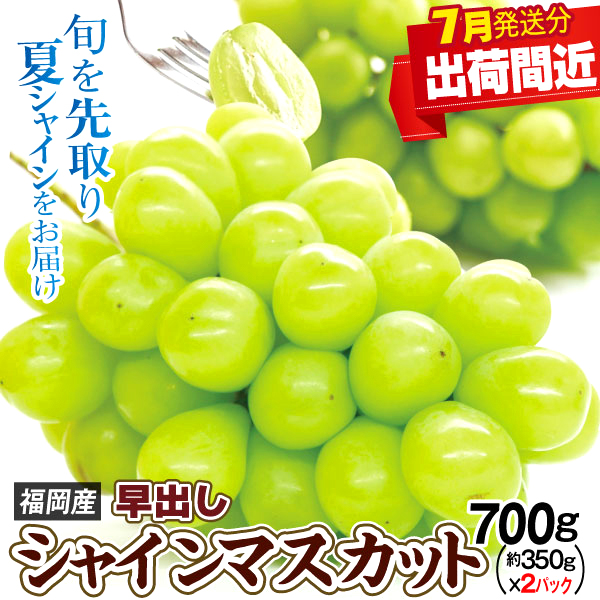 ぶどう 約700g 超早出しシャインマスカット 福岡産 ご家庭用 350g前後×2パック 種なし 皮ごとOK 送料無料（７月中旬出荷開始）食品