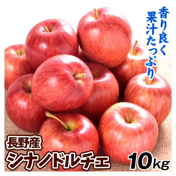 りんご 10kg シナノドルチェ 長野産 送料無料 食品