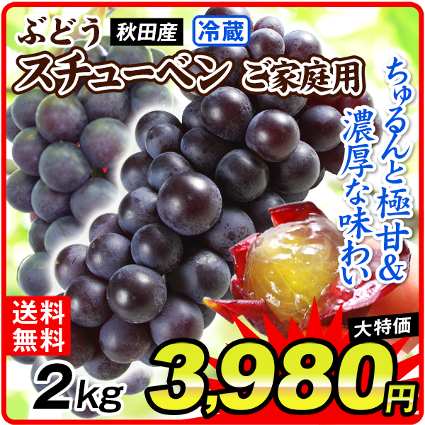 ぶどう 2kg スチューベン 秋田産 ご家庭用 蜂蜜ぶどう 中粒 送料無料 冷蔵便 食品