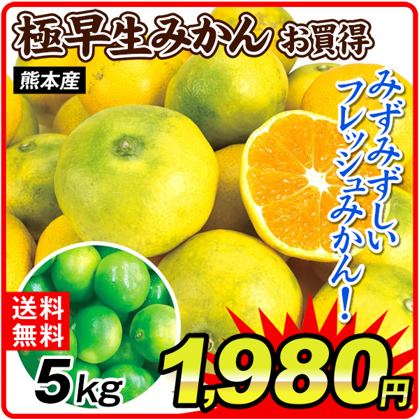 みかん 5kg ご家庭用 極早生みかん 熊本産 温州 柑橘 果物 フルーツ 国産 送料無料 食品