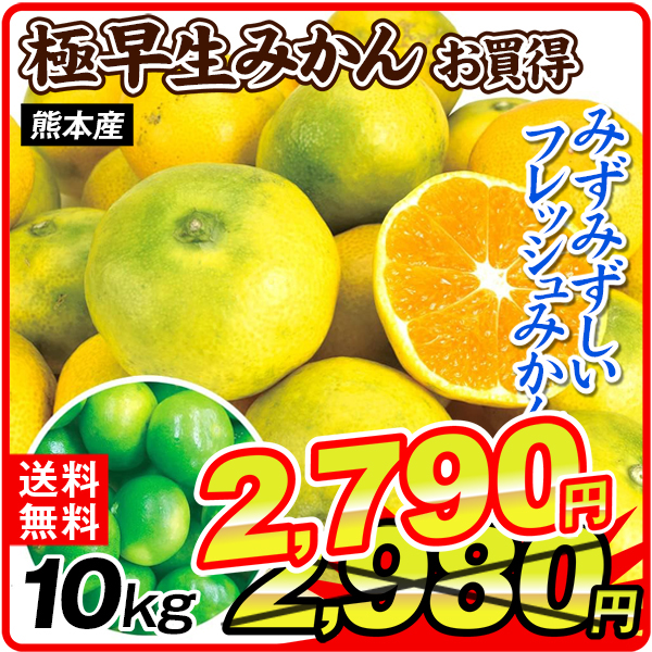 みかん 10kg ご家庭用 極早生みかん 熊本産 送料無料 食品