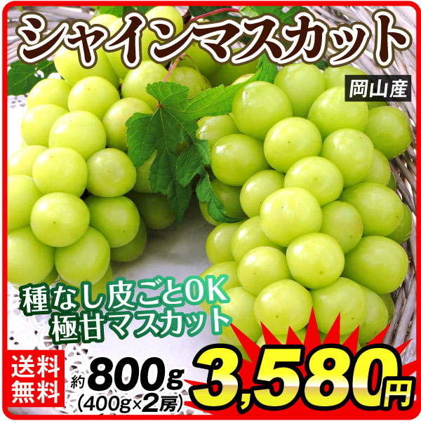 ぶどう 約800g シャインマスカット 岡山産 (約400g×2房)種なしブドウ 高糖度 皮ごと食べられる 送料無料 食品