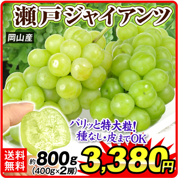 ぶどう 約800g 瀬戸ジャイアンツ  岡山産 (約400g×2房)種なしブドウ 高糖度 皮ごと食べられる 送料無料 食品