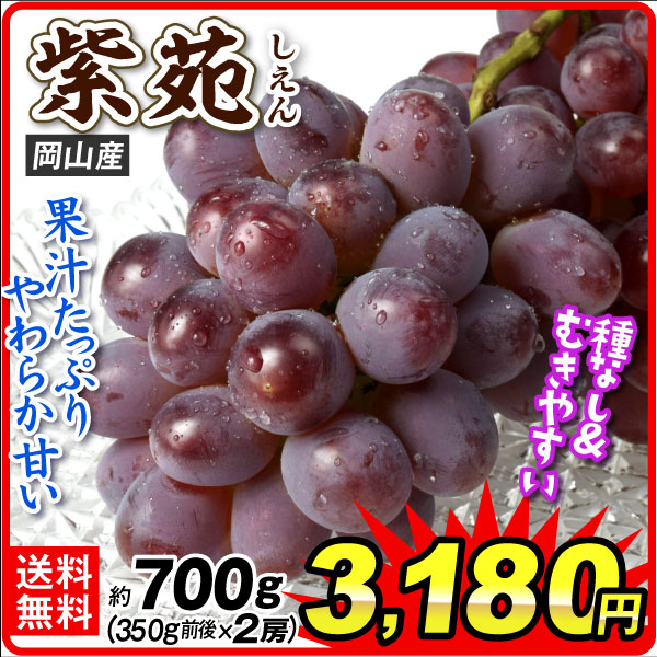 ぶどう 約700g  岡山産  紫苑(しえん) 赤葡萄 (350g前後×2房)種なしブドウ 高糖度 送料無料 食品