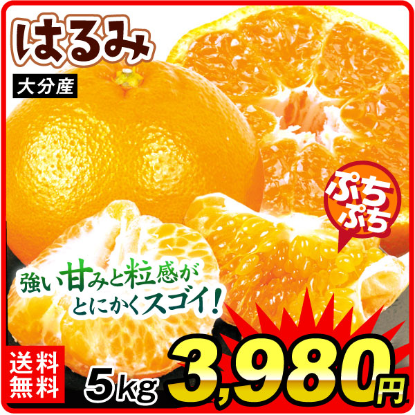 みかん 5kg はるみ 大分産 送料無料 食品