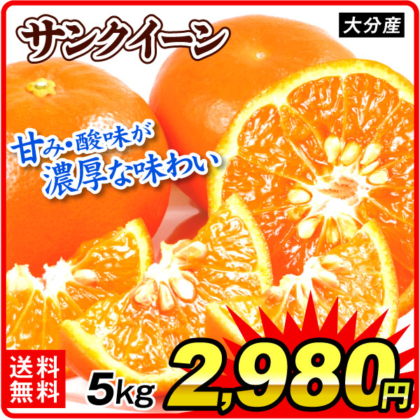 みかん サンクイーン 5kg 大分産 セミノール 柑橘 果物 フルーツ 送料無料 食品