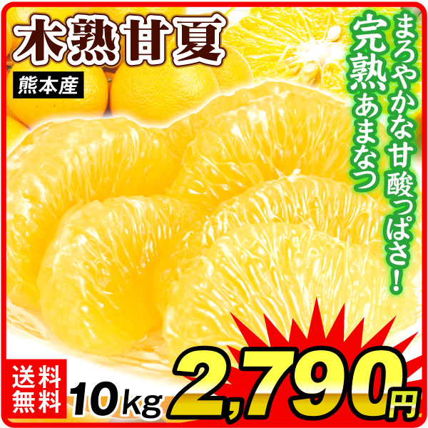 みかん 10kg 木熟甘夏 熊本産 ご家庭用 甘夏 木熟 あまなつ 柑橘 果物 フルーツ 送料無料 食品