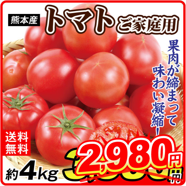 トマト 約4kg 熊本産 ご家庭用 送料無料 食品