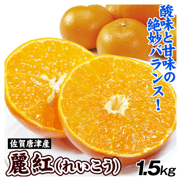 みかん 1.5kg 麗紅 佐賀唐津産 れいこう 柑橘 高級 果物 フルーツ 送料無料 食品