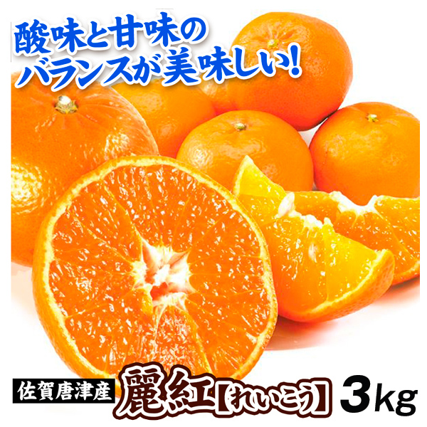 みかん 3kg 麗紅 佐賀唐津産 れいこう 柑橘 高級 果物 フルーツ 送料無料 食品