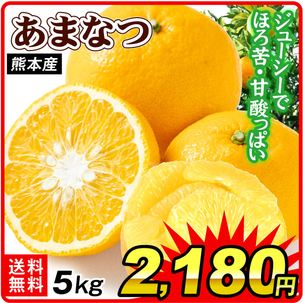 みかん 5kg 甘夏 熊本産 ご家庭用 あまなつ 柑橘 果物 フルーツ 送料無料 食品