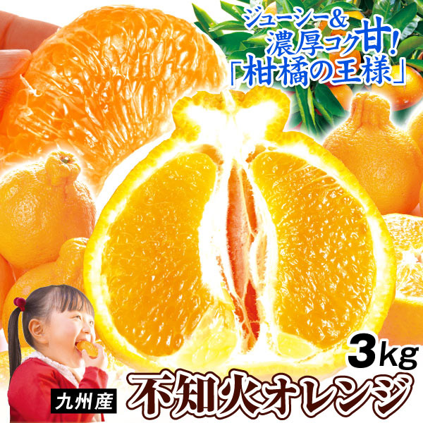 みかん 3kg 不知火オレンジ 九州産 大特価 不知火 デコ 蜜柑 柑橘 果物 フルーツ 送料無料 食品