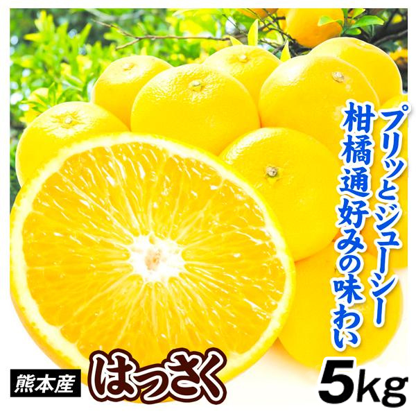 みかん 5kg はっさく 熊本産 ご家庭用 八朔 柑橘 果物 フルーツ 送料無料 食品