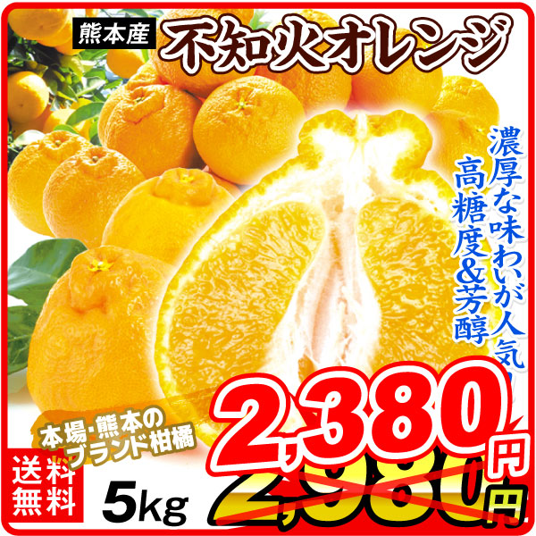 みかん 5kg 不知火オレンジ 熊本産 お買得 不知火 デコ ご家庭用 柑橘 果物 フルーツ 送料無料 食品