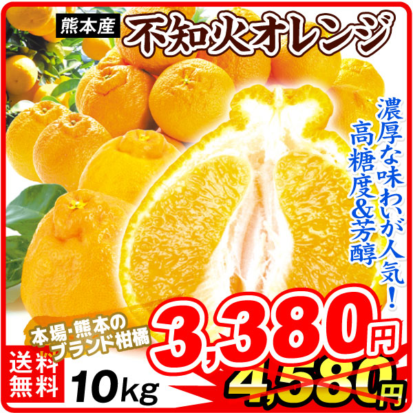 みかん 10kg 不知火オレンジ 熊本産 お買得 不知火 デコ 柑橘 果物 フルーツ 送料無料 食品