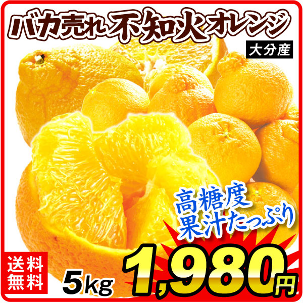 みかん 5kg バカ売れ 不知火オレンジ 大分産 訳あり デコ しらぬひ ご家庭用 柑橘 蜜柑 フルーツ 送料無料 食品
