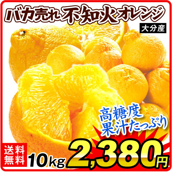 みかん 10kg バカ売れ 不知火オレンジ 大分産 訳あり デコ しらぬひ ご家庭用 柑橘 蜜柑 フルーツ 送料無料 食品