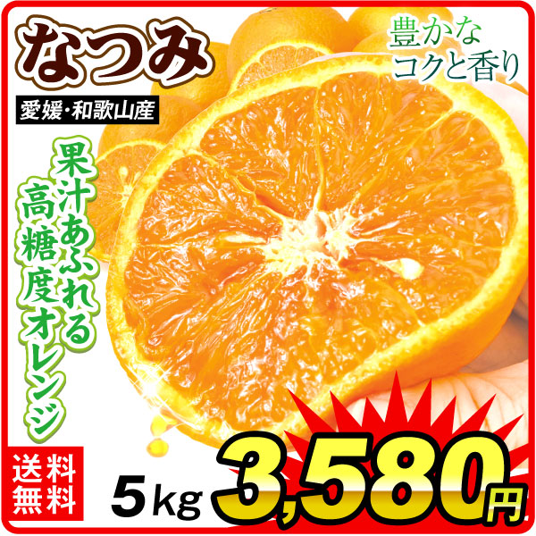 みかん 5kg なつみ 愛媛・和歌山産　 送料無料 食品