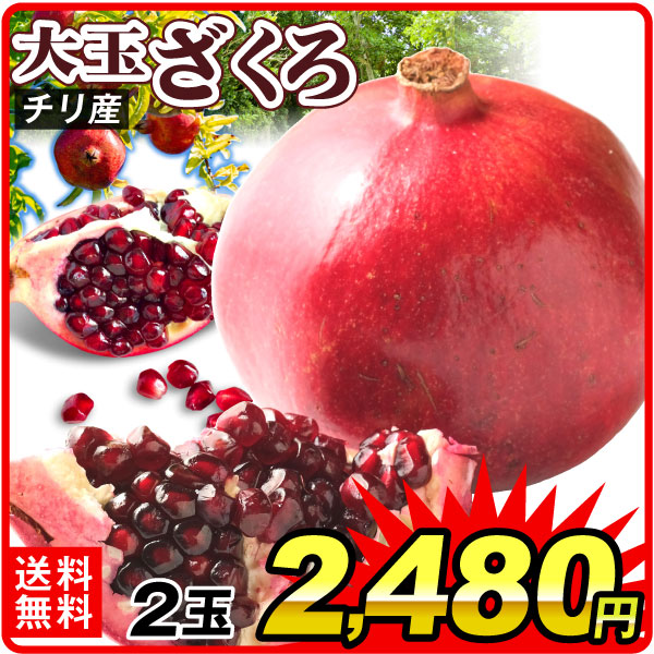 ザクロ 2玉 チリ産 大玉 1玉あたり400?500g前後 ざくろ 柘榴 トロピカルフルーツ 送料無料 食品