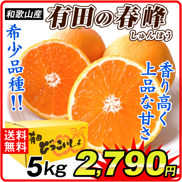 みかん 5kg 有田の春峰（しゅんぽう） 和歌山産 ご家庭用 送料無料 食品