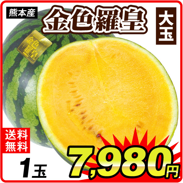 スイカ 1玉 金色羅皇 熊本産 ただいま出荷中 送料無料 食品