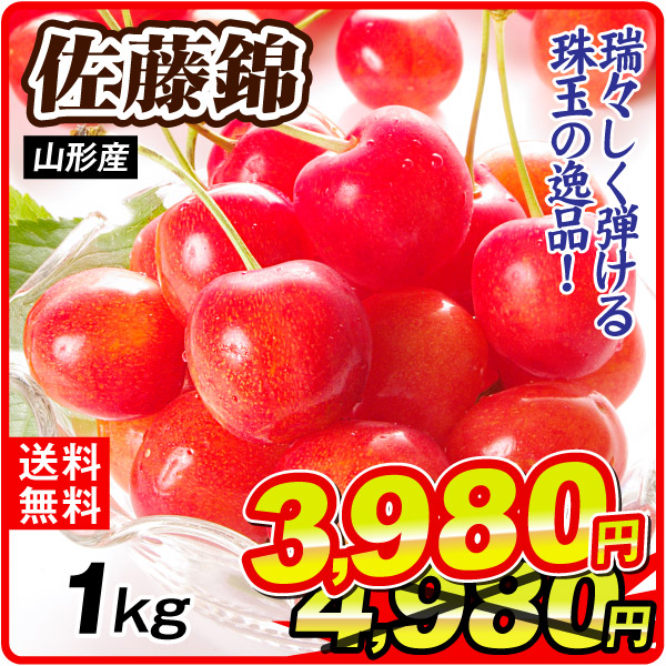 さくらんぼ 1kg1箱 佐藤錦 山形産 ご家庭用 さとうにしき チェリー 果物 フルーツ 送料無料 食品