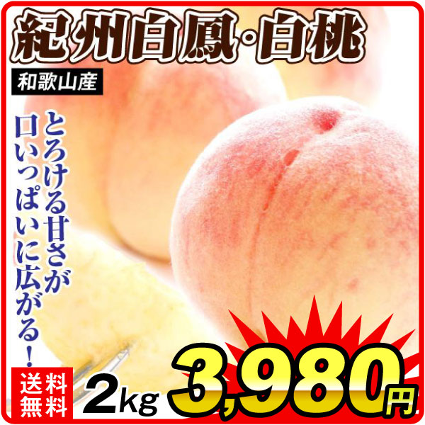 もも 約2kg 紀州白鳳・白桃 和歌山産 品種おまかせ ご自宅用 送料無料 食品