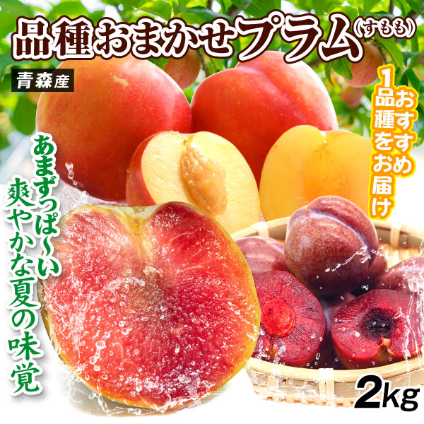 新鮮 プラム 多数 すもも　2キロ 国華園オンラインショップ / もも 2kg 品種おまかせプラム 青森産