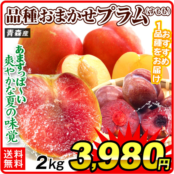 もも 2kg 品種おまかせプラム 青森産 すもも 品種おまかせ 冷蔵便 送料無料 食品