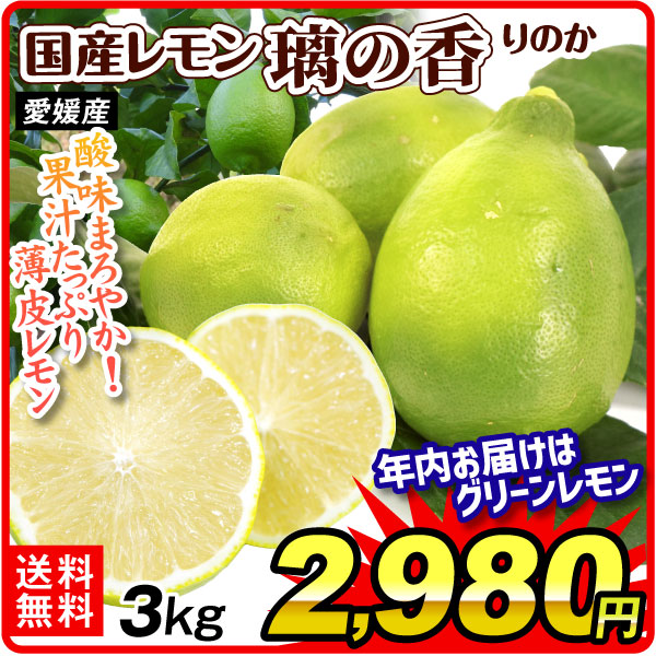 みかん 愛媛産 レモン 璃の香 3kg ご家庭用 食品 国華園
