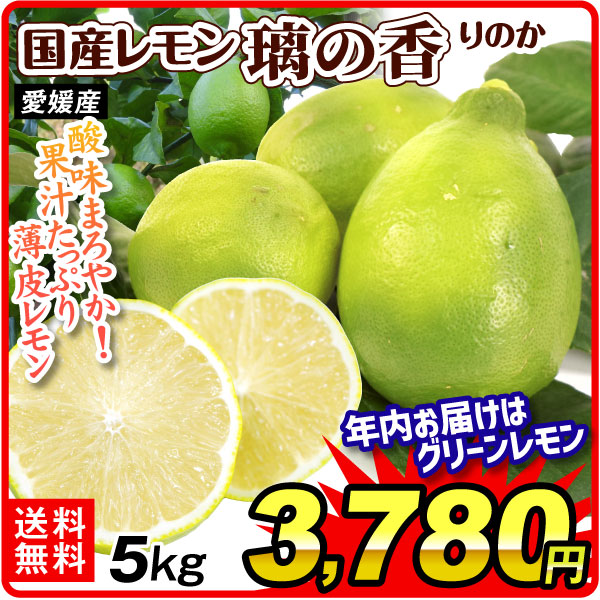 【送料無料　ご家庭用】愛媛産　赤レモン　約12ｋｇ1箱 国華園オンラインショップ / みかん 愛媛産 レモン 璃の香 5kg ご家庭