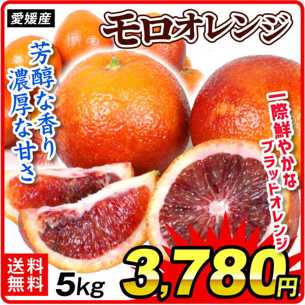 みかん 愛媛産 ブラッドオレンジ モロ 5kg ご家庭用 濃厚な甘み ベリーの芳醇な香り 国産オレンジ 送料無料 食品