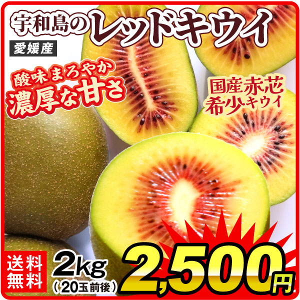 キウイ 約2kg 宇和島のレッドキウイ 愛媛産 赤芯キウイ 希少 20玉前後 国産 酸味まろやかで甘い レインボーレッド 紅妃 フルーツ 送料無料 食品