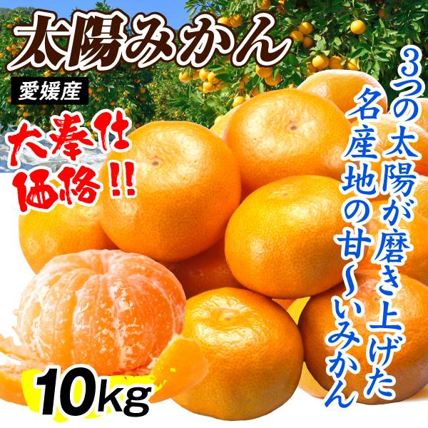 みかん 10kg 太陽みかん 愛媛産 温州みかん 甘い 送料無料 ご家庭用 食品